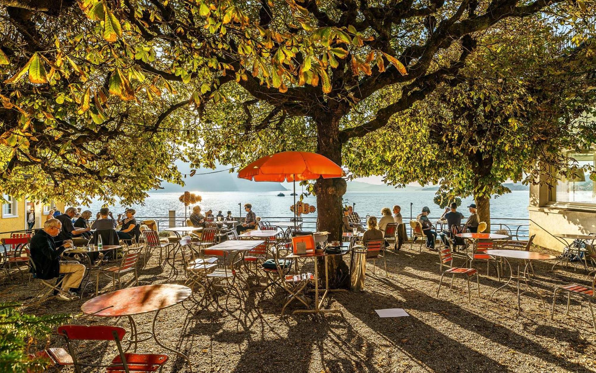 Hotel Terrasse Am See Vitznau Extérieur photo